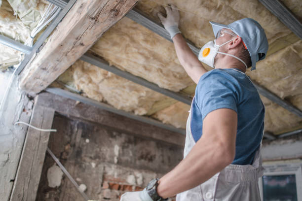 Best Fiberglass Insulation in Oliver Springs, TN