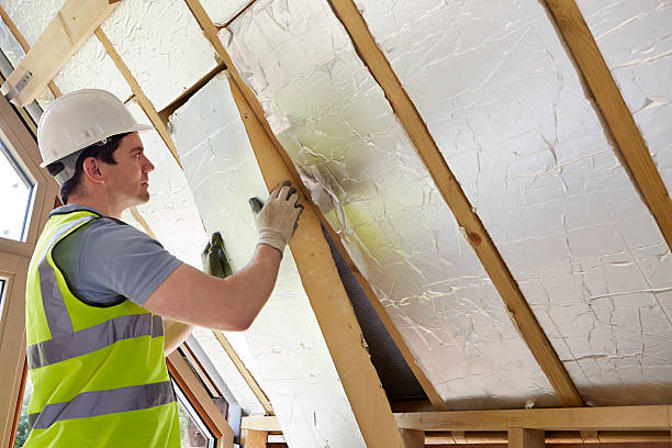 Best DIY Insulation Kits and Guidance in Oliver Springs, TN