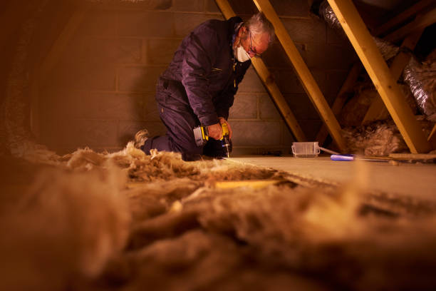 Best Specialized Insulation Services in Oliver Springs, TN